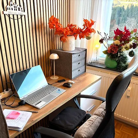 Mein 公寓 巴德加斯坦