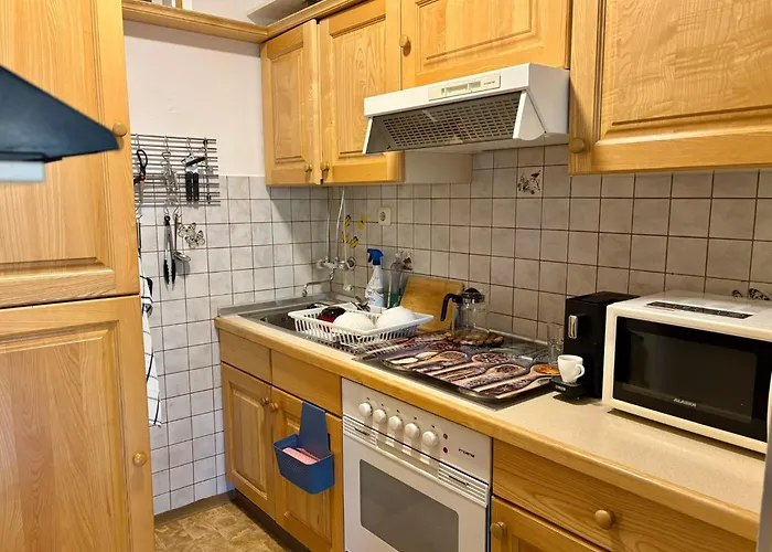 Mein 巴德加斯坦