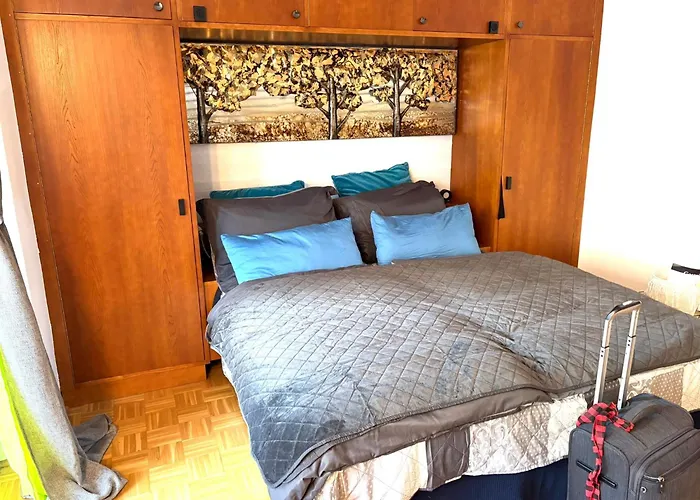 Mein * 巴德加斯坦