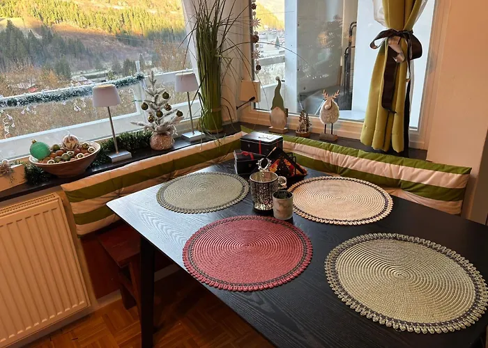 Mein 公寓 巴德加斯坦