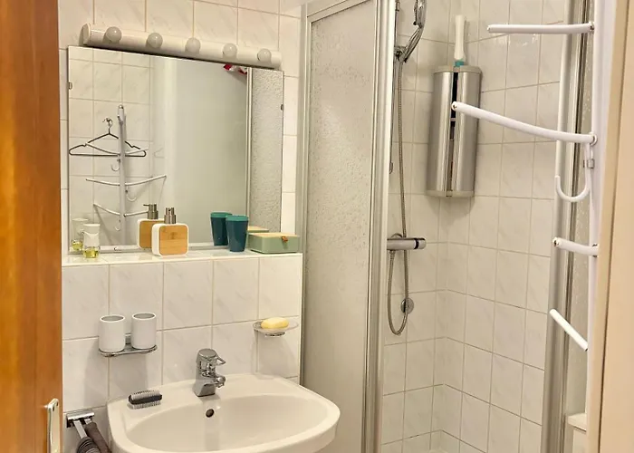 Mein 巴德加斯坦