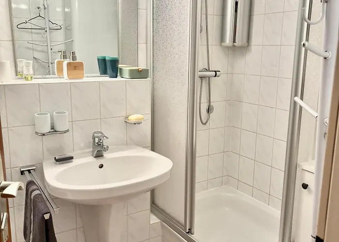 Mein 巴德加斯坦