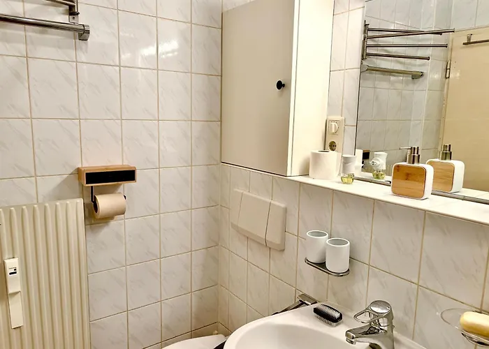 Mein * 巴德加斯坦