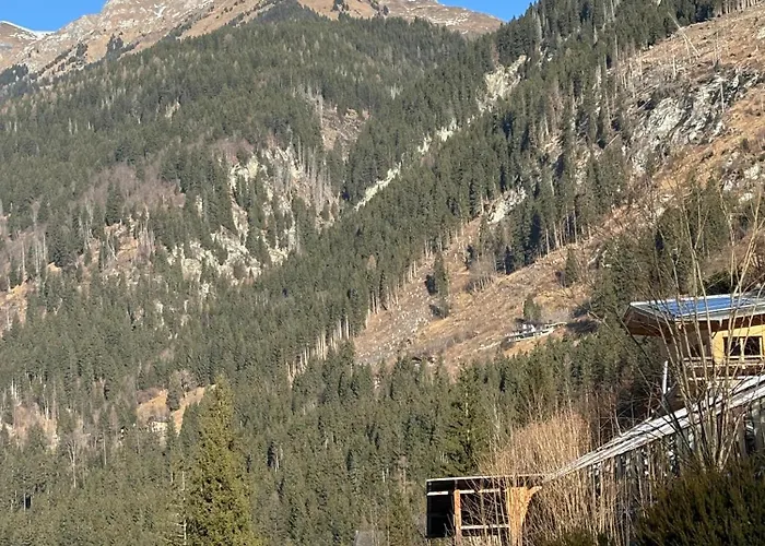 Mein 巴德加斯坦