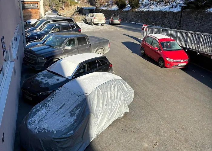 Mein * 巴德加斯坦