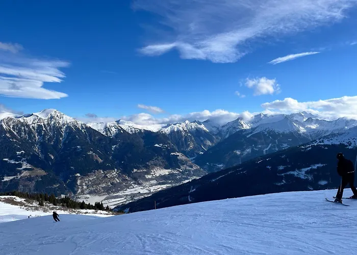 Mein 巴德加斯坦